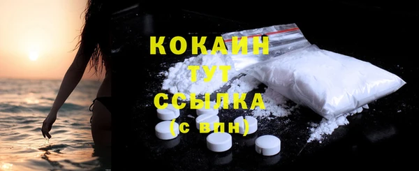 гидра Белоозёрский