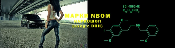 бошки Белокуриха