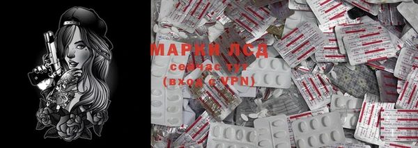 бошки Белокуриха