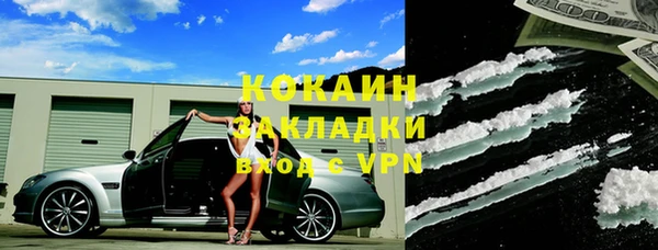 бошки Белокуриха