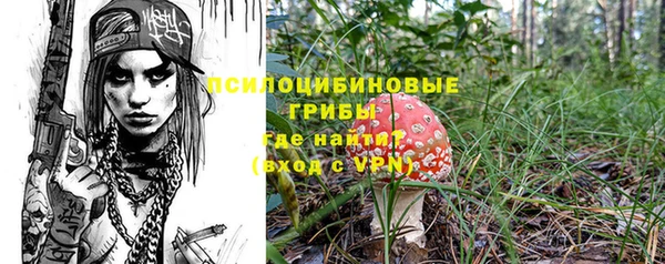 гидра Белоозёрский