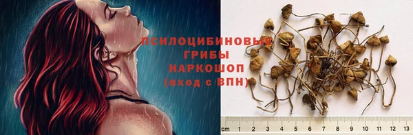 бошки Белокуриха