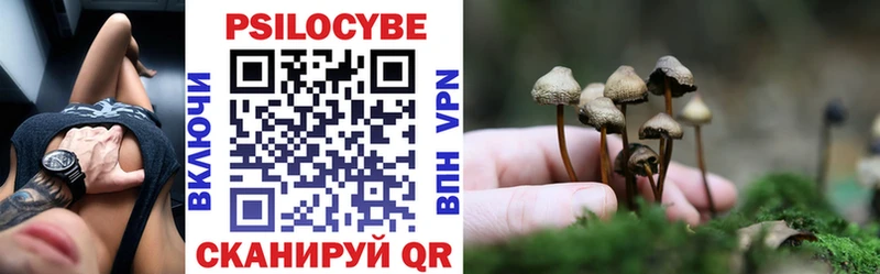 Псилоцибиновые грибы MAGIC MUSHROOMS  KRAKEN ТОР  Великий Новгород 